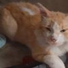jackiecovet73