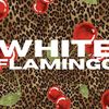shopwhiteflamingo