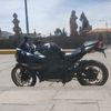 conejo.blanco120