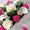 karima.khairy0
