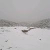 najmdin