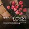 user4817817934986