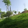 omaymaarich