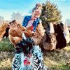 chickflickhobbyfarm