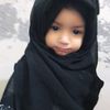 shazadipari17