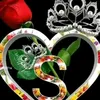 salahgaeed