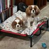 benny.molly