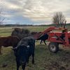 angryhayfarmer