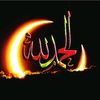 dabal172