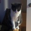 jakethesnake_kerr69