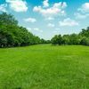 grass_isgreener
