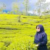 hamida_eling