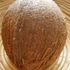 coconut_1337