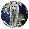 wolfwideview