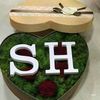 .sh0231