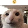 matiasvalencia897
