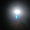user4323880365441