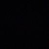 ayam_jago9697