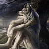anotherpapillon22