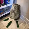 totalfuckingbastard
