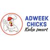 ADWEEK CHICKS