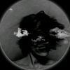 mdalom11165