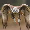 userjdwbaqd3gl