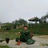 quang_pluss