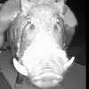 autisticmonkeyboy3