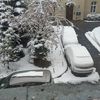 setif394