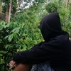 vhian.gaming