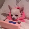 etfrsryvgyd