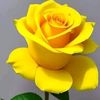 mary2309901