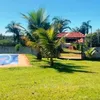 francisca.ofi