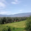 nirmine02_81