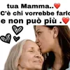 majdulinmajdulin3