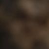userzwn1xmykli