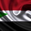 salihalsayer3