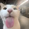 jesikaaa_77