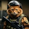 catwar.ua