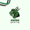 malaz_gaming