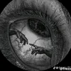 _vixuo_