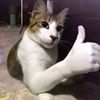 mouwid_na