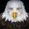 uilamegabriel