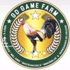 gdgamefarm54