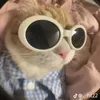 meoconmeo00