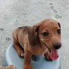 hellooo_there0