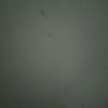 peng_494