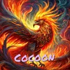 shootingcocoon