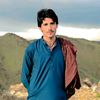 majboor660